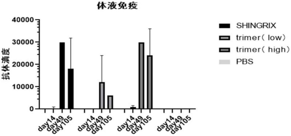 一種帶狀皰疹病毒重組蛋白和制備方法及其用途與流程