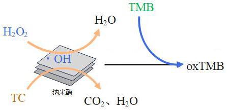 一種鐵摻雜氧化銅納米酶及其在檢測四環(huán)素中的應(yīng)用