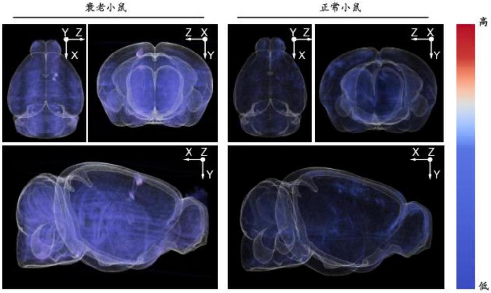 激活型喹啉腈聚集誘導發(fā)光探針的構建及應用