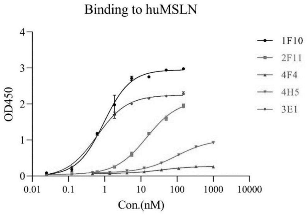 抗MSLN納米抗體及其制備方法與用途與流程