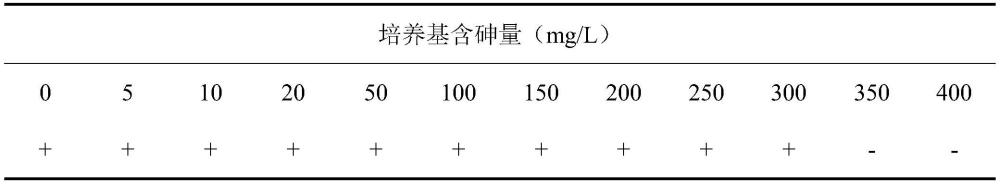 一種鈍化類重金屬砷菌株As06及應(yīng)用