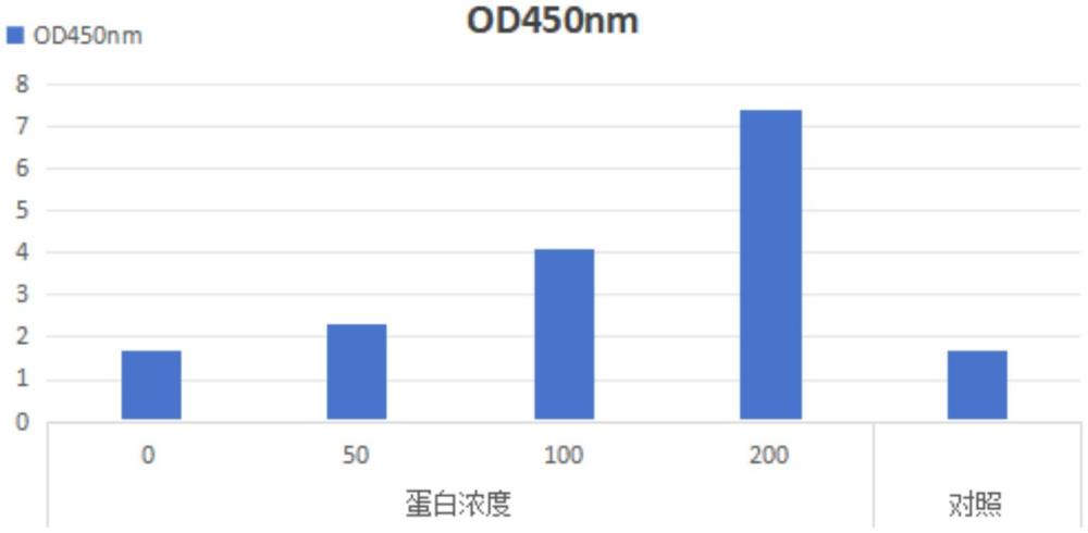 一種類人膠原蛋白的制備工藝及產品、應用的制作方法