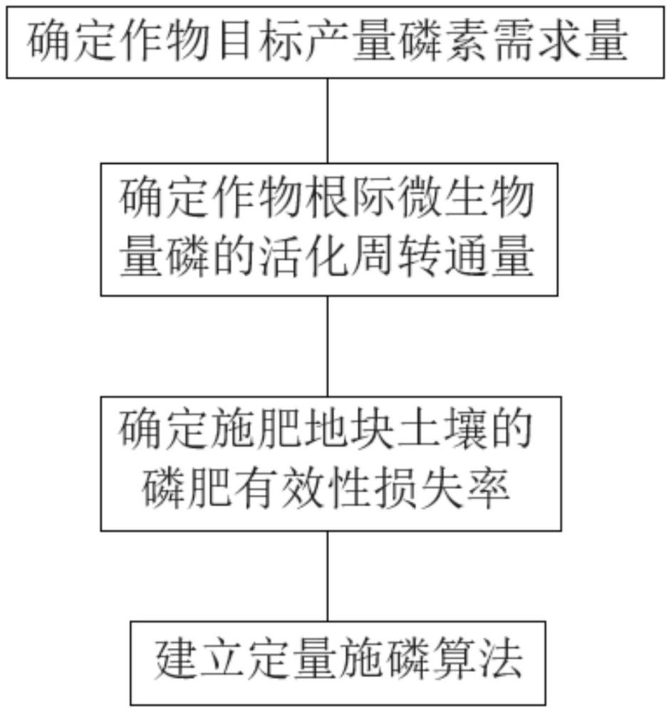 一種基于量化作物根際土壤磷生物活化周轉量確定磷肥施用量的算法