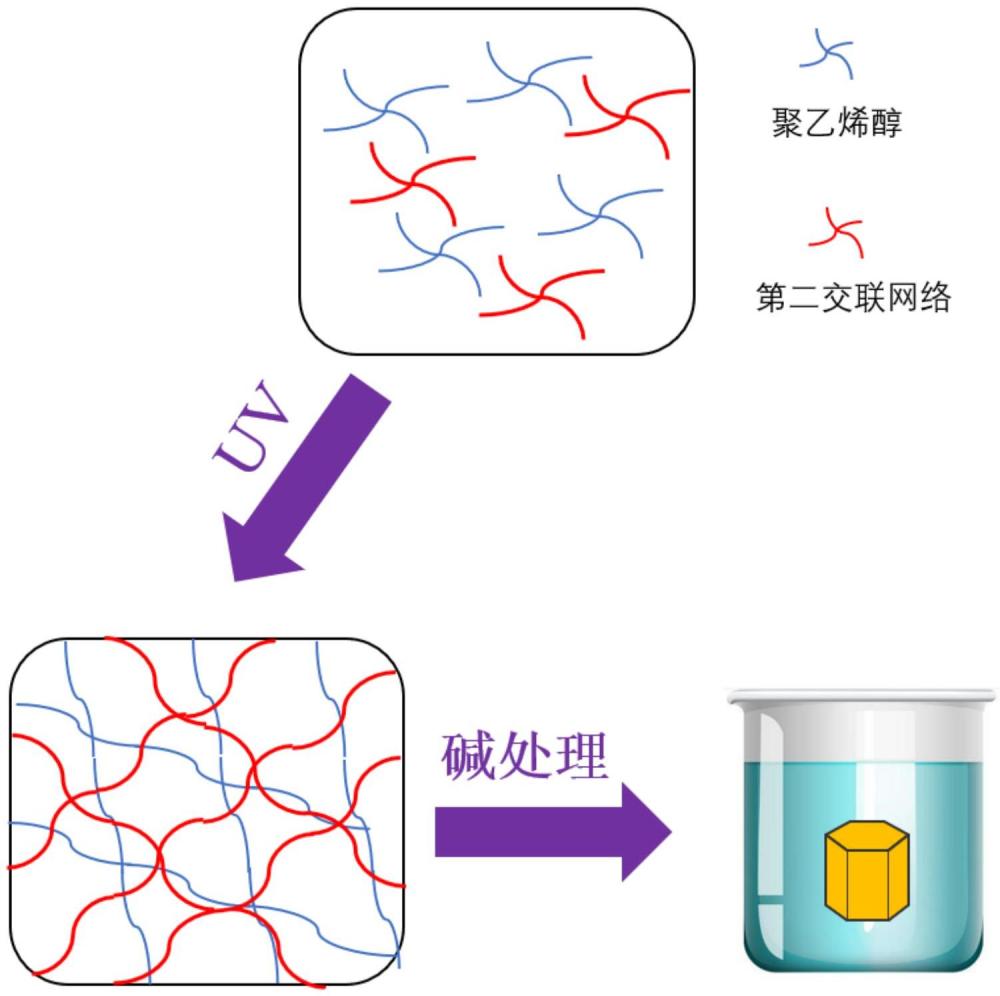 基于聚乙烯醇雙網(wǎng)絡(luò)材料的力學(xué)增韌方法、增韌材料及其應(yīng)用