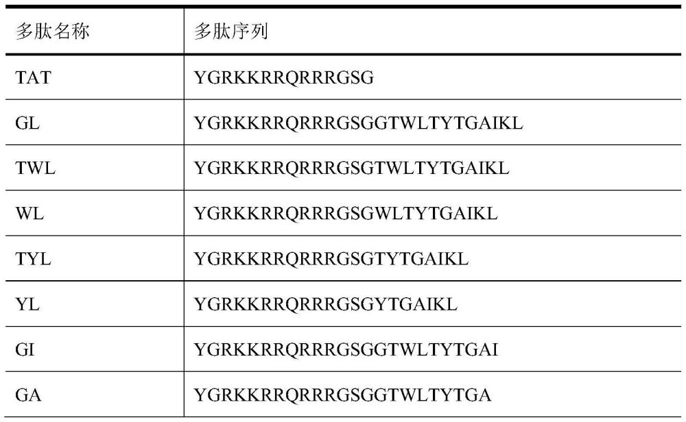 一種人工合成的多肽及其在抗冠狀病毒中的應(yīng)用