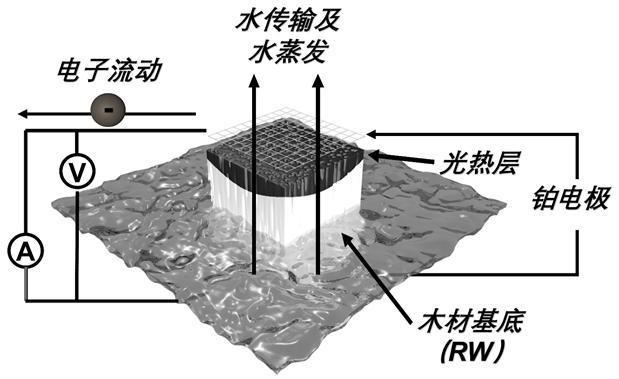 一種木基太陽(yáng)能蒸發(fā)器及其制備方法