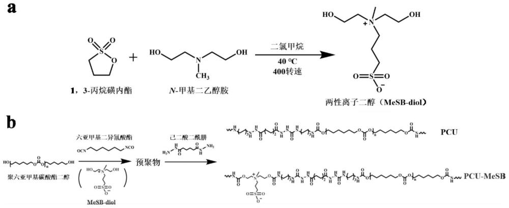 一種改性聚氨酯及其制備方法和作為半月板替代材料的應(yīng)用