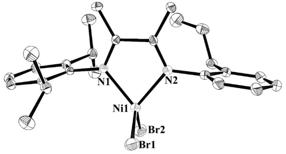 α-二亞胺配體化合物、鎳配合物及其制備方法和應(yīng)用與流程