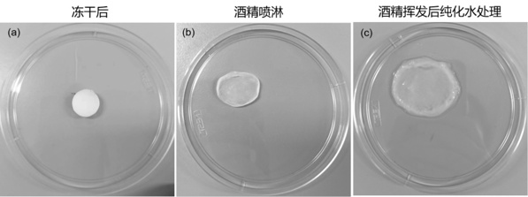 一種重組人纖連蛋白凍干海綿及其制備方法和應(yīng)用與流程