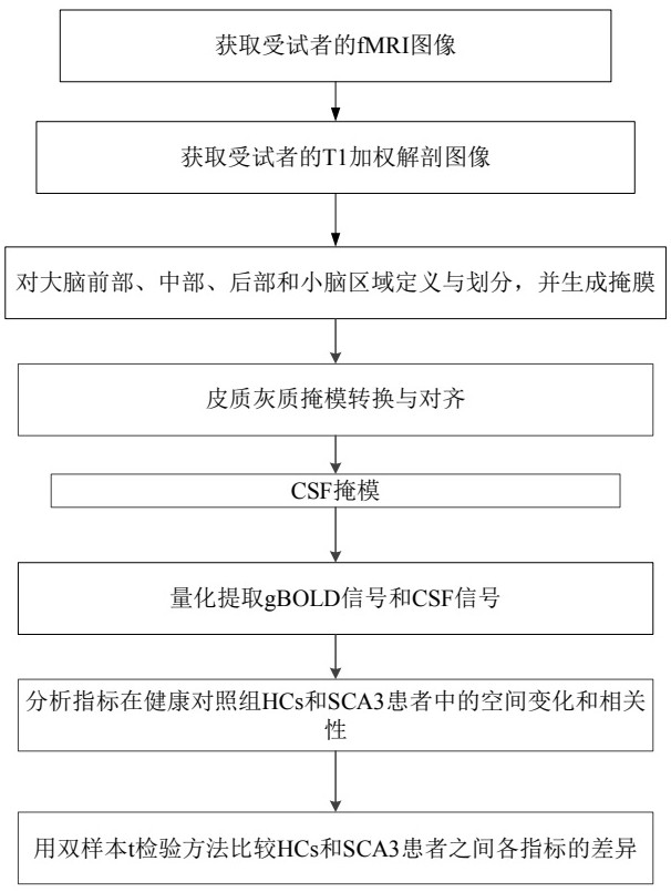 量化區(qū)域性膠淋巴測(cè)量的空間變化和相關(guān)性方法及裝置與流程