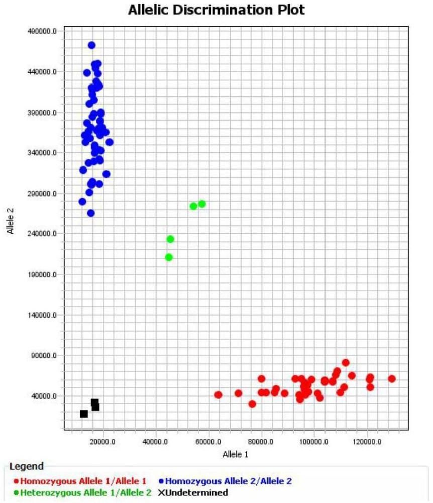 一種鑒別水稻耐鹽基因STG5優(yōu)勢單倍型的分子標記及其應用