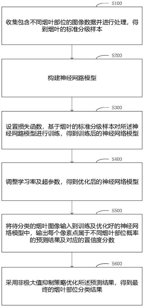 一種針對在評級競賽中快速識別煙葉部位的分類方法及電子設(shè)備與流程