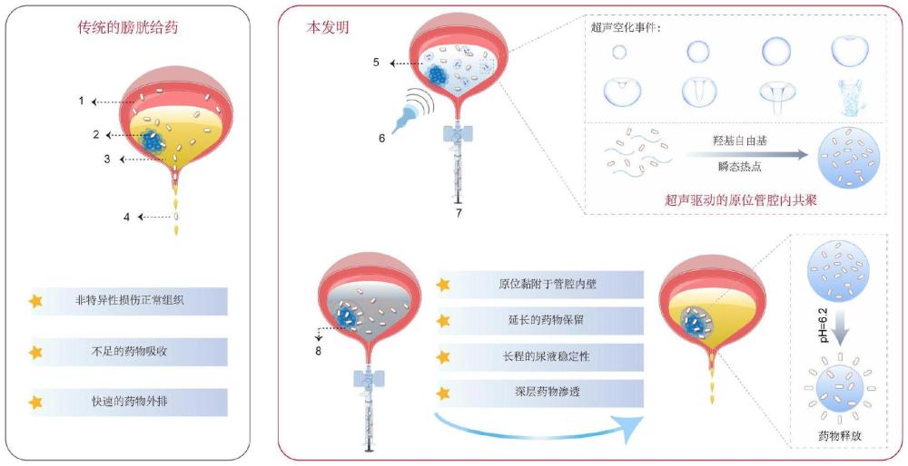 一種針對(duì)空腔臟器的長(zhǎng)效給藥平臺(tái)及其應(yīng)用