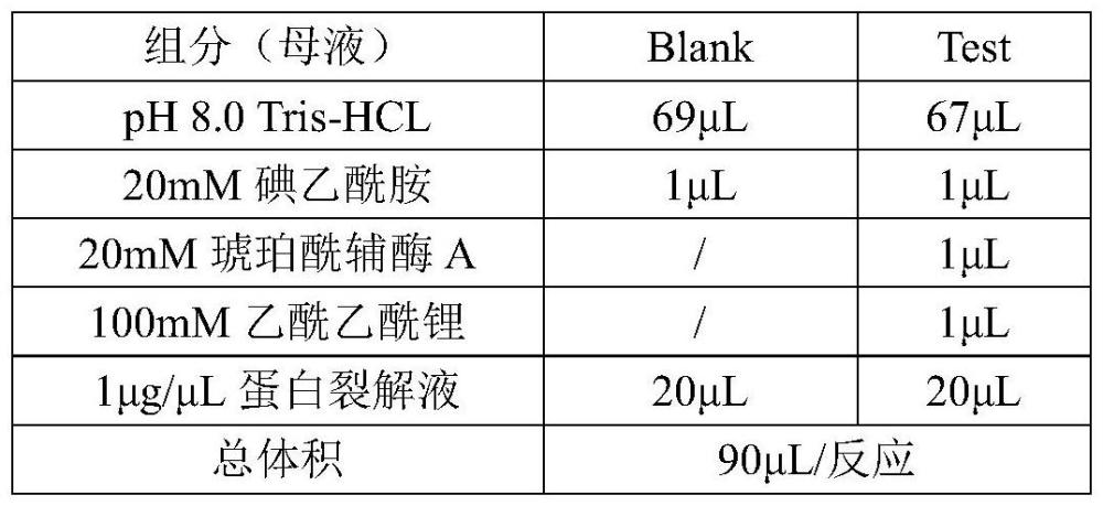 OXCT1蛋白酮體分解酶活性檢測方法與流程