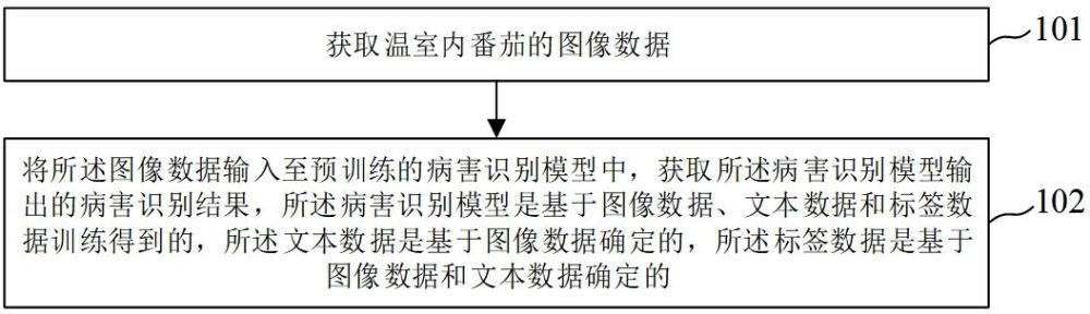 溫室內(nèi)番茄病害識(shí)別方法、裝置及存儲(chǔ)介質(zhì)與流程