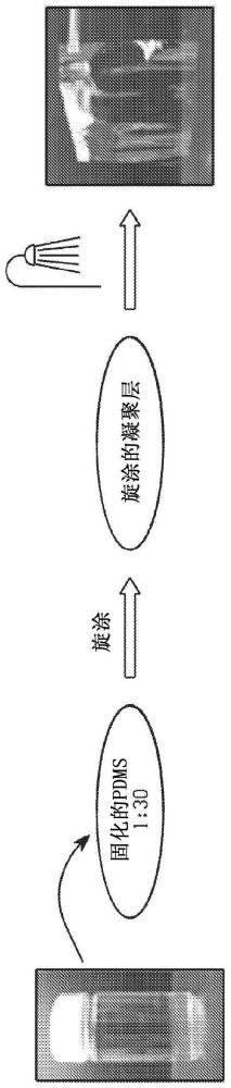 液體復(fù)合凝聚層、衍生自其的制品以及用于制造其的方法