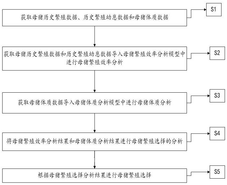 一種分析母豬繁殖效率的數據管理方法與系統與流程