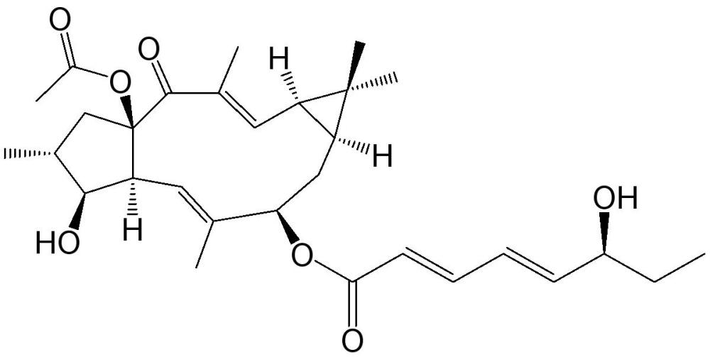 一種續(xù)隨子烷型二萜化合物及其制備方法和應用