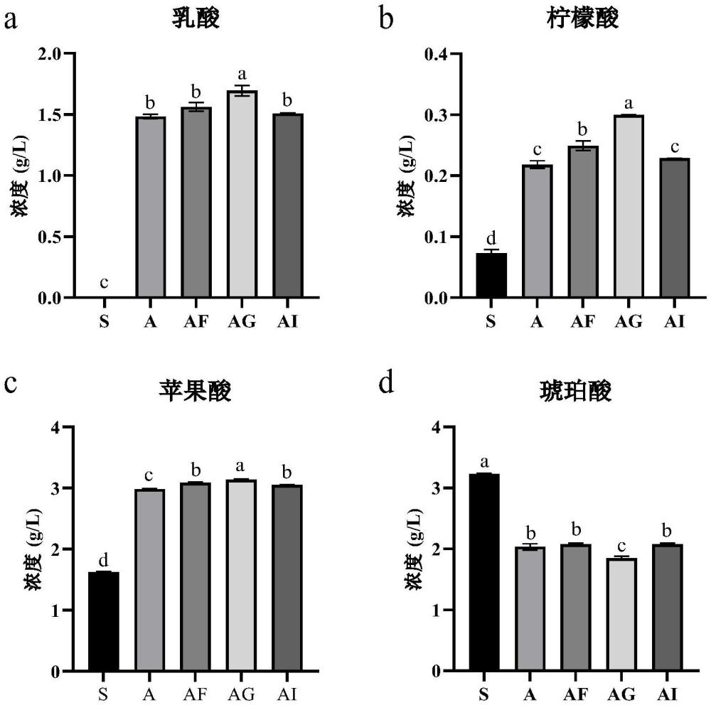 一種格氏乳桿菌JM1酸化啤酒及其制備方法