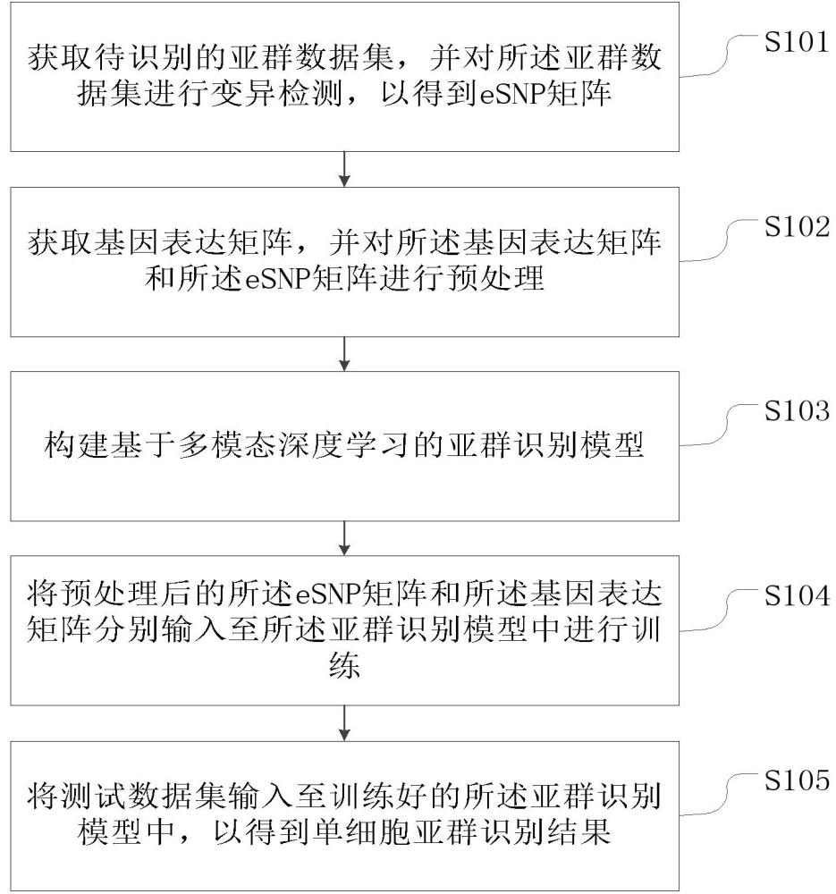 一種基于多模態(tài)深度學習模型的單細胞亞群識別方法