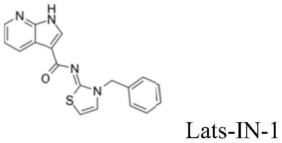 小分子藥物組合物及其應用