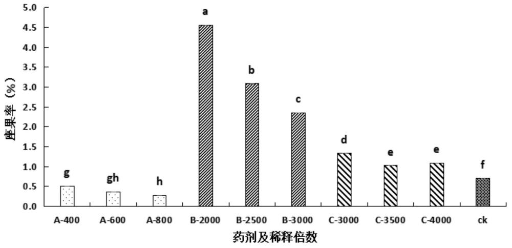 一種提高地梢瓜座果率的方法