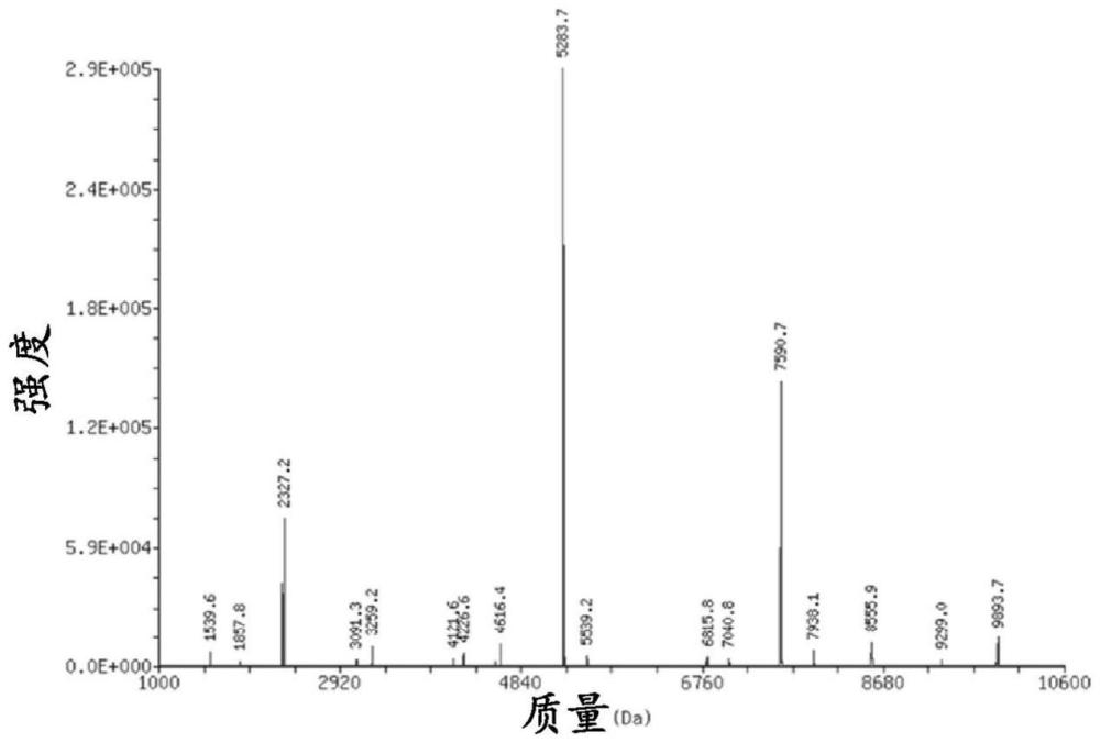 3’-RNA寡核苷酸的合成的制作方法