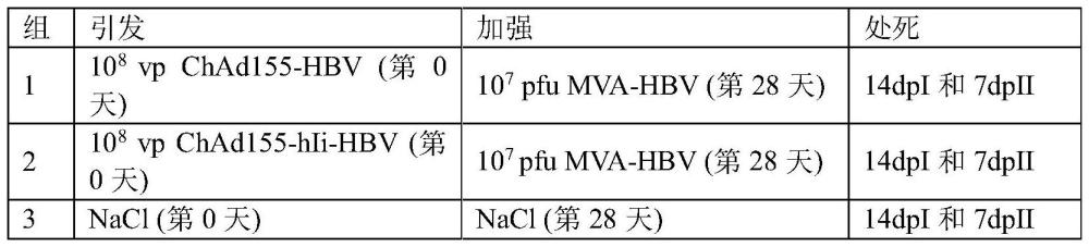 乙型肝炎免疫方案和組合物的制作方法