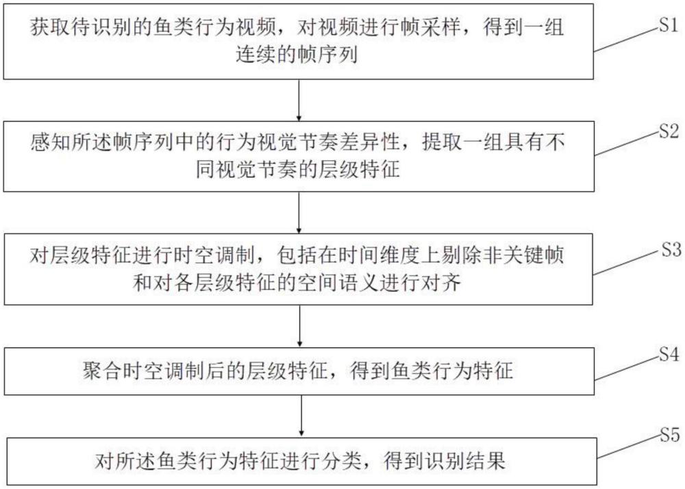 基于行為視覺節(jié)奏差異性感知的魚類行為識(shí)別方法及系統(tǒng)