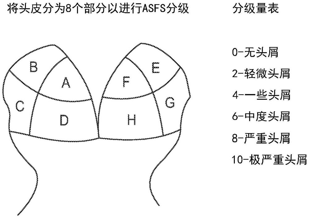 改善頭皮狀況和頭發生長的香紫蘇醇或香紫蘇內酯的制作方法