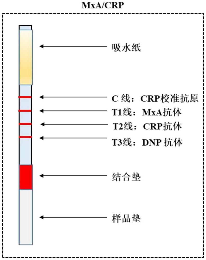 一種稀釋液組分及其應(yīng)用的制作方法