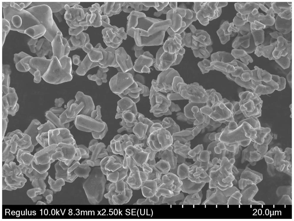 一种铁基层状氧化物钠离子电池正极材料及其制备方法和应用