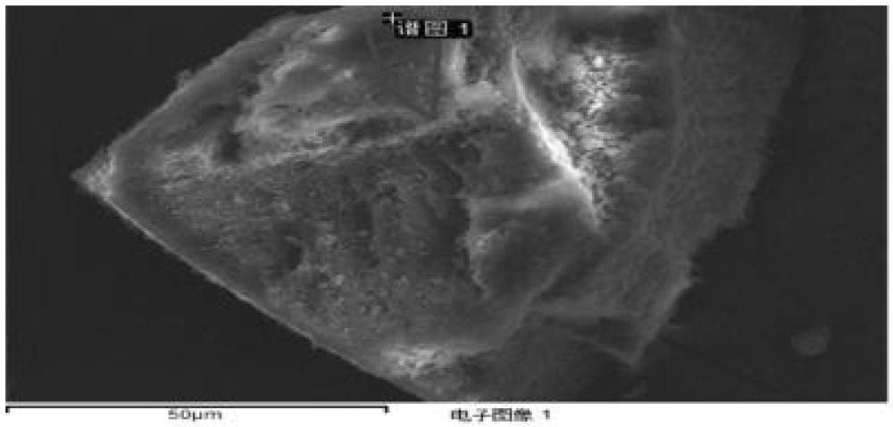 一種原位復合的硅碳負極及其制備方法與流程