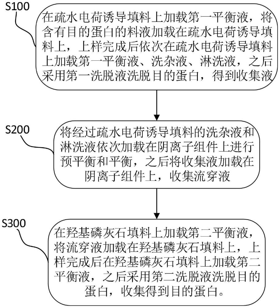 雙特異性抗體蛋白的層析純化方法與流程