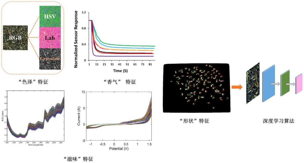 一種基于深度學(xué)習(xí)耦合感官質(zhì)量多模態(tài)融合傳感器的茶葉等級(jí)綜合評(píng)判的方法