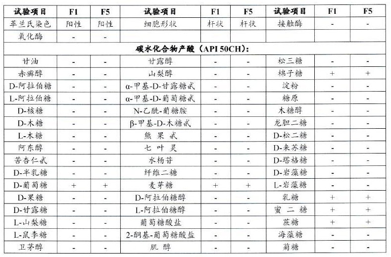 一種能增強免疫力的動物雙歧桿菌乳亞種及其應用的制作方法