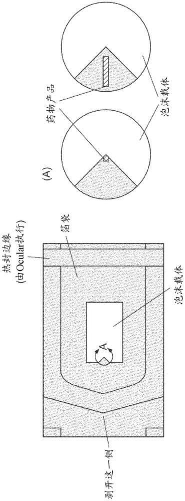 包含抗微生物劑的小管內(nèi)插入物的制作方法