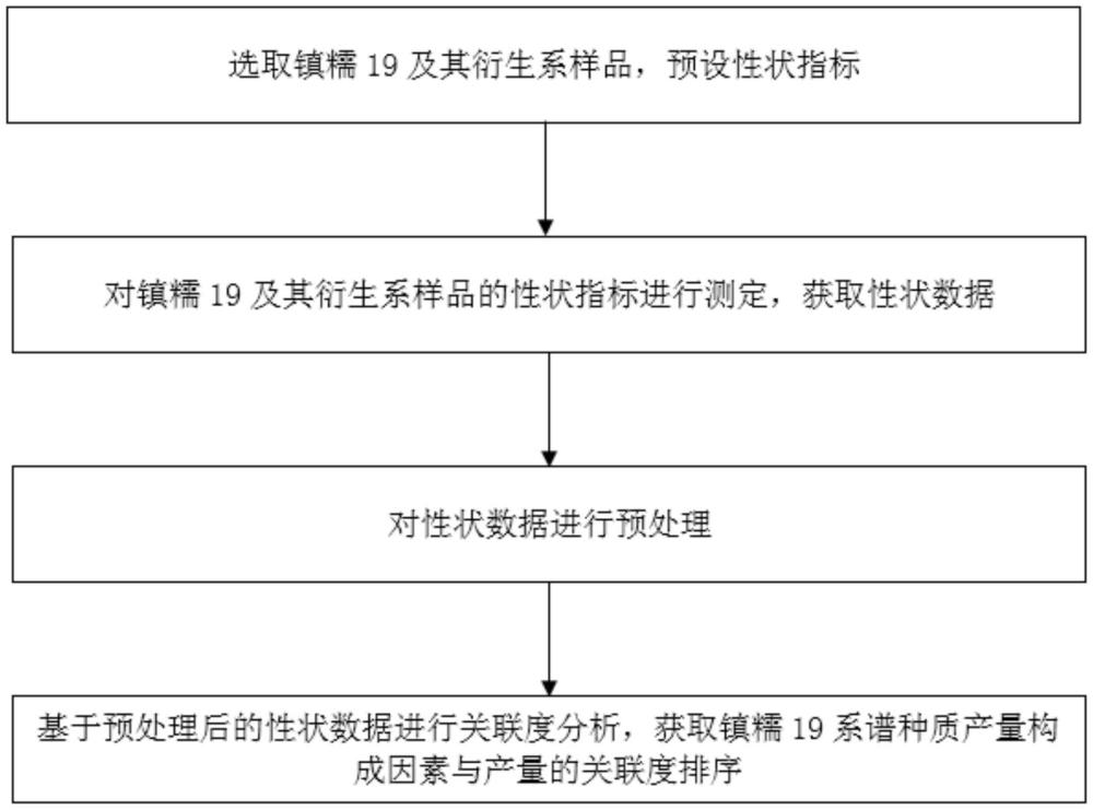 鎮(zhèn)糯19及其衍生系產(chǎn)量構(gòu)成因素的分析方法與流程