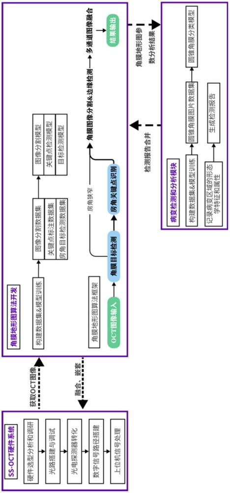 一種眼前節(jié)OCT圖像角膜地形參數(shù)測(cè)量方法和裝置