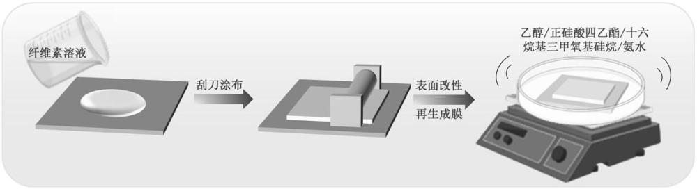 一種超疏水纖維素薄膜及其制備方法和應(yīng)用