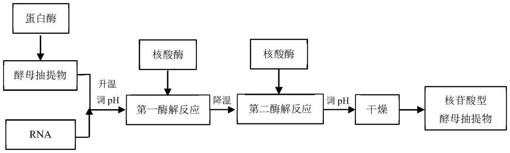 一種制備核苷酸型酵母抽提物的方法與流程