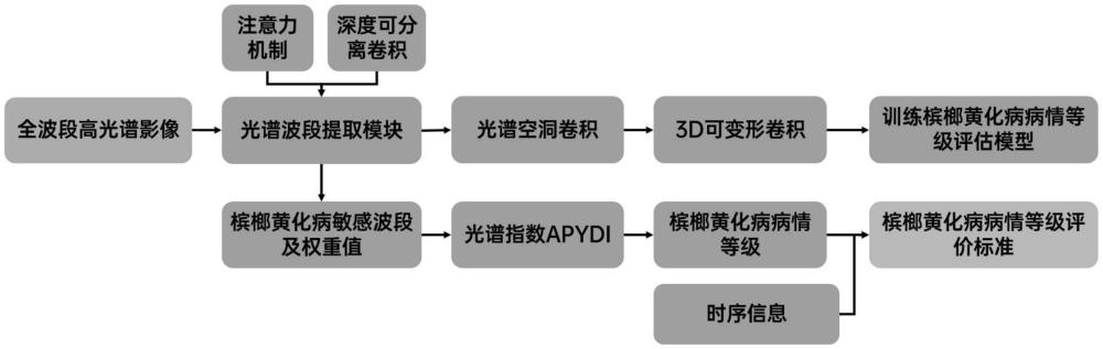 基于光譜指數(shù)APYDI的檳榔黃化病病情等級評估方法