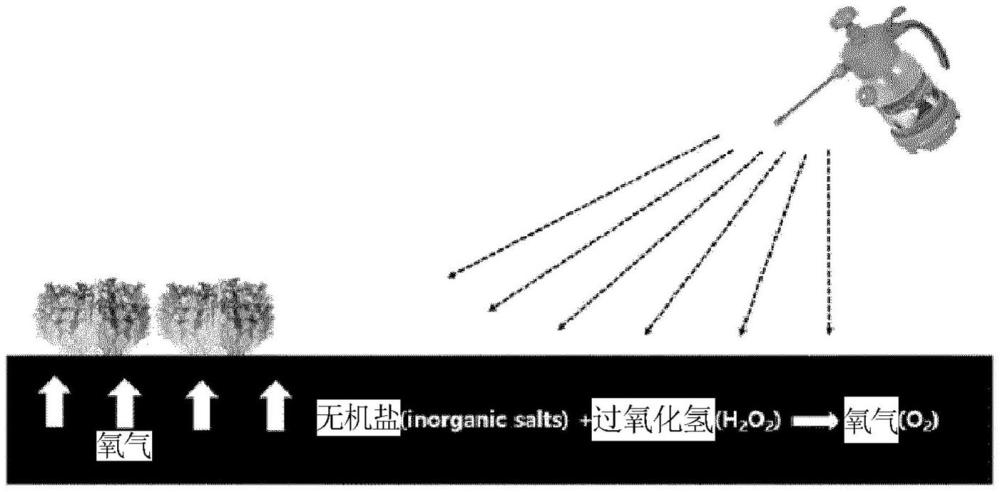 可以給作物栽培地長期供氧的產(chǎn)氧功能性組合物及利用其的農(nóng)法的制作方法