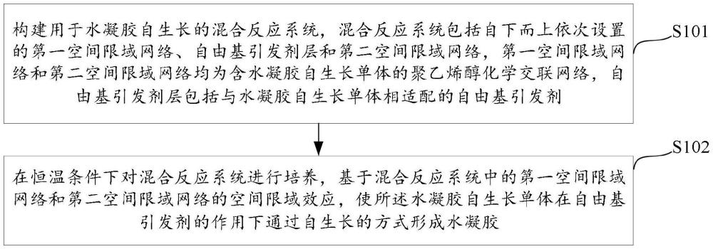 一種基于空間限域效應的自生長水凝膠制備方法及水凝膠