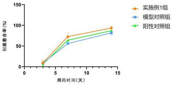 一種創(chuàng)面愈合用生肌止痛膏及其制備方法與流程