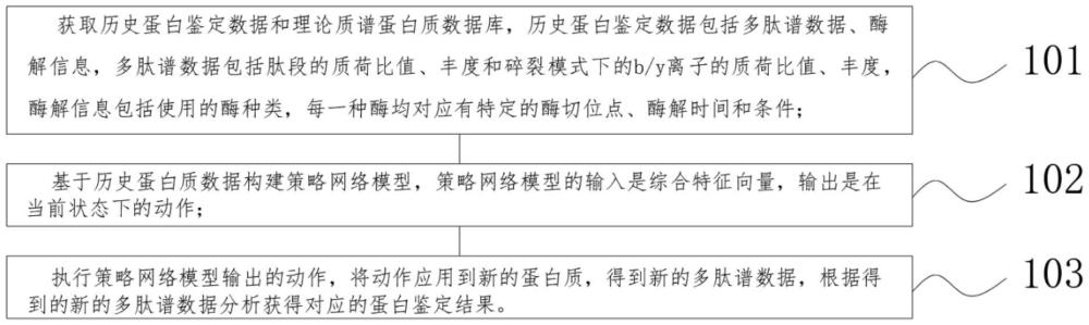 一种小分子肽阿胶的多肽谱匹配数据分析方法及系统与流程