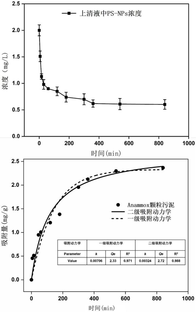 一种利用主流厌氧氨氧化工艺同步去除废水中纳米塑料与氨氮的方法