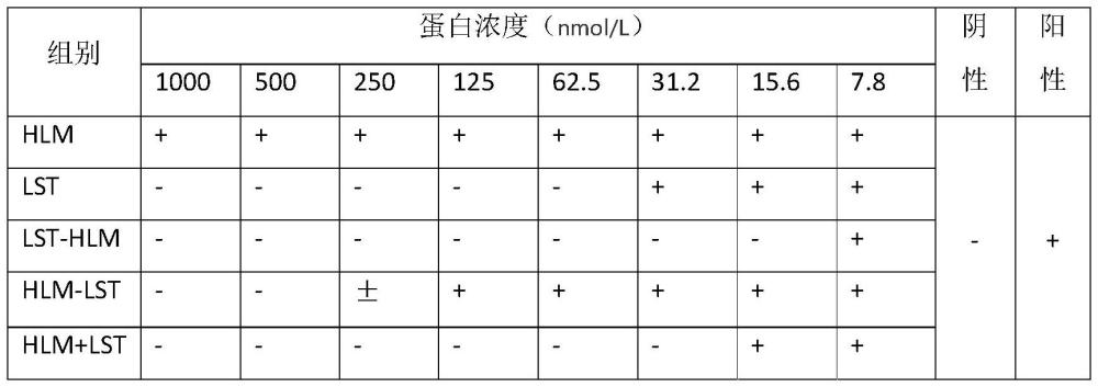 一种溶菌酶和溶葡萄球菌酶的融合蛋白及其制备方法和应用与流程