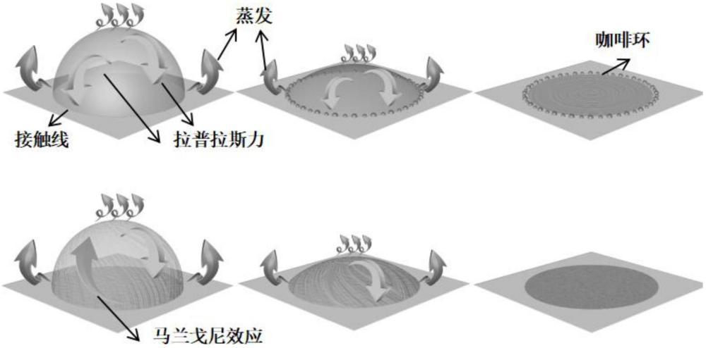 一種抑制咖啡環(huán)的馬蘭戈尼效應(yīng)油墨及其制備方法與流程