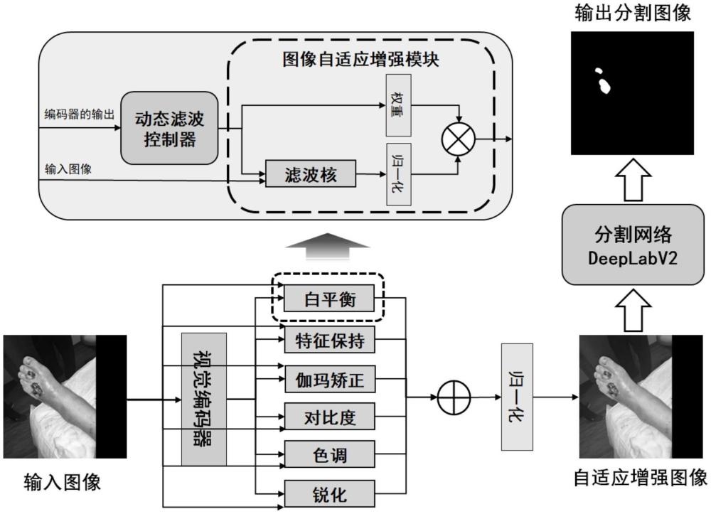 一种基于图像自适应增强、动态滤波的创面分割系统的制作方法